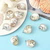 Electroplated Spiral Shell Pendants BSHE-YW0001-07P-1