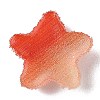 Resin Decoden Cabochons CRES-Y001-02A-02-2