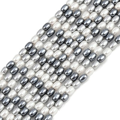 Electroplated Shell Pearl Beads Strands BSHE-H113-06A-02-1