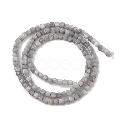 Natural Freshwater Shell Dyed Beads Strands SHEL-R100-11A-02-1
