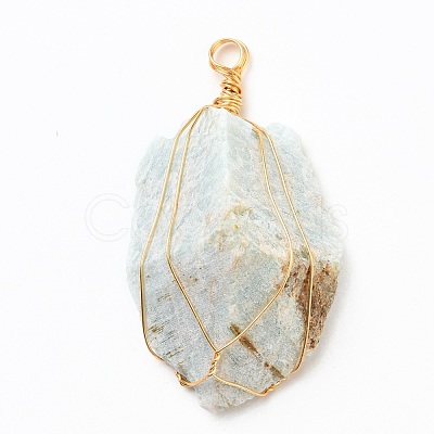Rough Raw Natural Gemstone Pendants PALLOY-JF00506-1