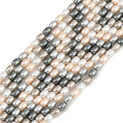 Electroplated Shell Pearl Beads Strands BSHE-H113-06A-03-1