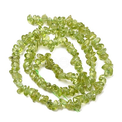 Natural Peridot Beads Strands G-F328-34A-1