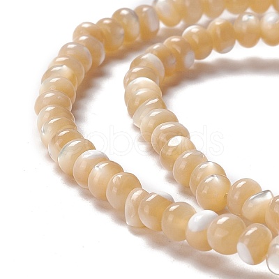 Natural Trochid Shell/Trochus Shell Beads Strands SSHEL-O001-24B-01-1