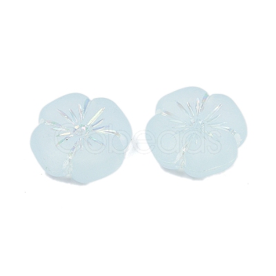 Frosted Transparent Acrylic Beads LS-OACR-P029-19B-06-1