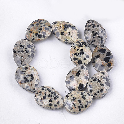 Natural Dalmatian Jasper Beads Strands X-G-S354-05-1