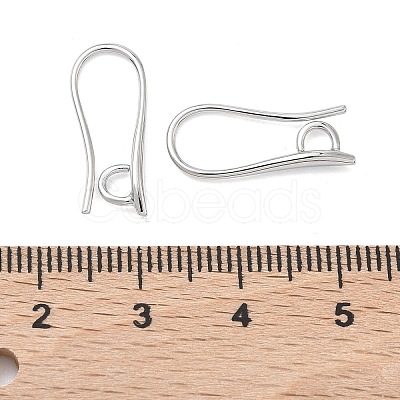 SHEGRACE Brass Earring Hooks XGR0003P-42P-1