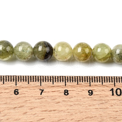 Natural Green Garnet Beads Strands G-G344-A04-8mm-1
