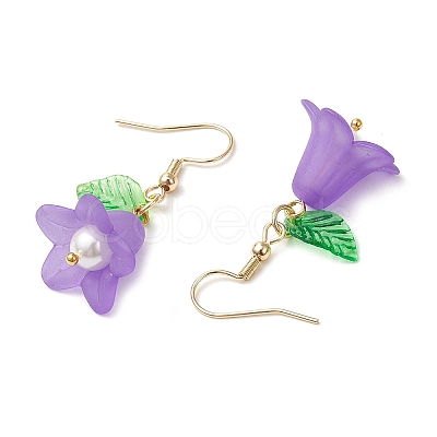 5Pairs Acrylic Dangle Earrings EJEW-JE06426-1
