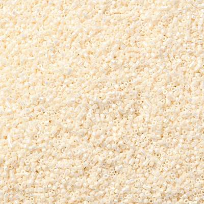 Cylinder Seed Beads SEED-H001-B04-1