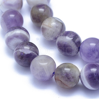 Natural Amethyst Beads Strands G-L552H-03B-1