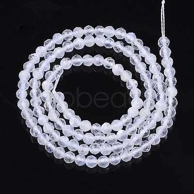 Natural Rainbow Moonstone Beads Strands G-R465-02B-1