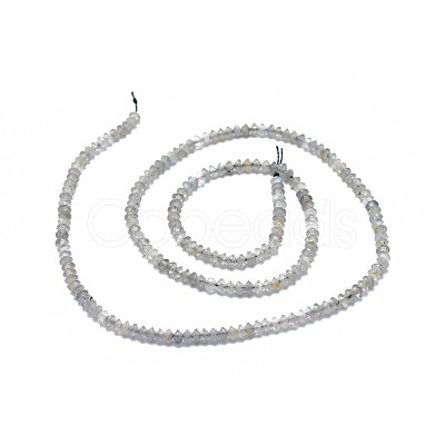 Natural Labradorite Beads Strands G-I249-D17-1