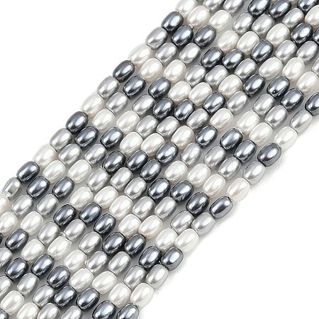 Electroplated Shell Pearl Beads Strands BSHE-H113-06A-02-1
