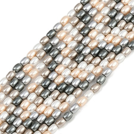 Electroplated Shell Pearl Beads Strands BSHE-H113-06A-03-1