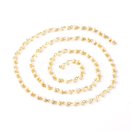 Handmade Polymer Clay Beaded Chain AJEW-JB00999-02-1