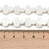 Natural Freshwater Shell Beads Strands SHEL-K010-02B-4
