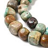 Natural Turquoise Beads Strands G-P506-06A-3