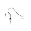 Tarnish Resistant 304 Stainless Steel Earring Hooks X-STAS-S111-003-3