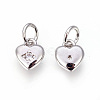 Brass Micro Pave Cubic Zirconia Charms ZIRC-F095-04P-2