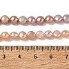 Natural Cultured Freshwater Pearl Beads Strands PEAR-C004-21D-5