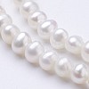 Natural Cultured Freshwater Pearl Beads Strands PEAR-F004-65-3