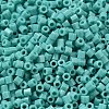 Opaque Glass Seed Beads SEED-S042-22B-04-3