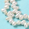 Natural Cultured Freshwater Pearl Beads Strands PEAR-J007-67-4