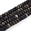 Natural Biotite Beads Strands G-T140-69A-4