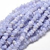 Natural Blue Lace Agate Chip Beads Strands G-E271-73-1
