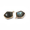 Natural Labradorite Pendants G-S359-381-4
