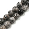 Natural Map Stone/Picasso Stone/Picasso Jasper Beads Strands G-C079-B05-02-1