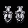 Glass Bottles AJEW-N002-05-1