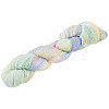 1 Skein Gradient Segment Dyed 80% Wool 20% Acrylic Blended Yarn OCOR-TA0003-02D-2