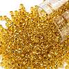 TOHO 8/0 Round Beads X-SEED-TR08-0752-1