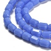 Opaque Glass Beads Strands GLAA-G112-04A-3