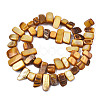 Natural Trochid Shell/Trochus Shell Beads Strands SHEL-S258-082-B09-2