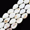 Natural White Shell Beads Strands X-PBB263Y-1-6