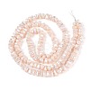 Electroplate Opaque Glass Beads Strands EGLA-N022-09A-C04-2