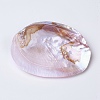 Natural Freshwater Pearl Shell Decoration SHEL-K002-01A-3