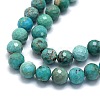 Natural HuBei Turquoise Beads Strands G-G106-C12-07-3