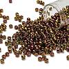 TOHO 6/0 Round Beads X-SEED-TR06-0514-1