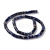 Natural Sodalite Beads Strands G-C240-04A-3