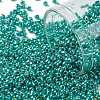 TOHO Round Seed Beads SEED-TR11-PF0569-1