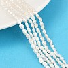 Natural Cultured Freshwater Pearl Beads Strands PEAR-P064-20E-02C-1