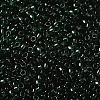 Transparent Colours Glass Round Seed Beads SEED-B001-06A-10-3