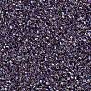 MIYUKI Delica Beads X-SEED-J020-DB1244-3