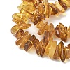 Natural Amber Beads Strands G-L095-D01-07-4