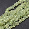 Natural Prehnite Chip Beads Strands G-E271-99-1