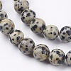 Natural Dalmatian Jasper Stone Bead Strands X-G-R193-14-8mm-3